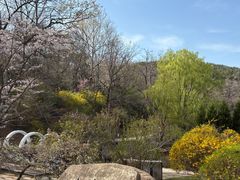 -棒棰岛宾馆景区