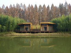 -黄海国家森林公园