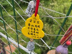-西双版纳原始森林公园