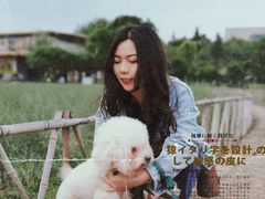 -艾溪湖湿地公园