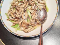 -新光酒家·河豚·海鲜·蟹料理(浦东店)
