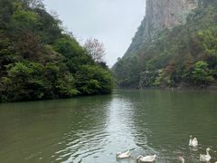 -天台山琼台仙谷景区