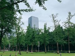 -重庆市江北嘴中央商务区中央公园