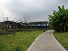 -白鹭湾湿地公园