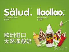 -Salud撒露欧洲冻酸奶(798艺术区店)