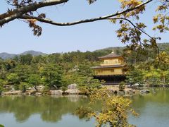 -豆政(金閣寺境内売店)