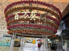 -百万葵园