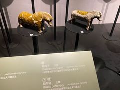 -大同市博物馆