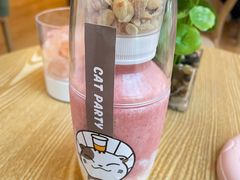 -猫咪派对(江南西店)