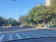 -新江湾城公园