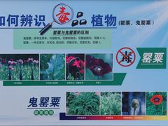 -国家植物园南园