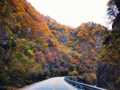 -秦岭风景区