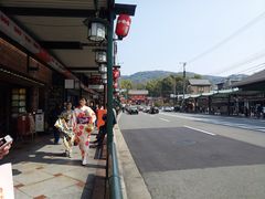 -有栖山 清光院 清水寺