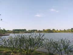 -东郊湿地公园