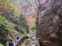 -五女峰国家森林公园