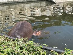 -合肥野生动物园