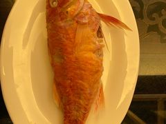 -吴记富苑(朝阳店)