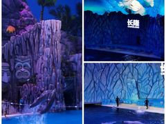 -珠海横琴长隆《卡卡虎奇遇记》