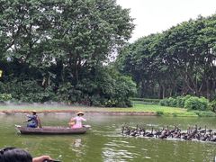 -广州长隆飞鸟乐园