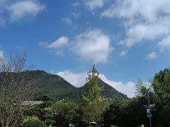 -凤池园