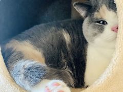 -Me Coffee下午茶艺术空间