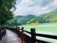 -广州白江湖森林公园