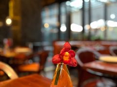 -Tivano意大利餐厅(成都居舍酒店)