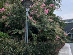 -杭州城北体育公园