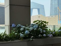 -新荣记(建国门外大街店)