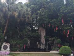 -广州市流溪河国家森林公园