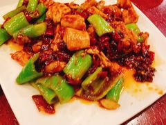 -鸢飞潍坊菜馆(鸢飞大酒店)