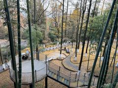 -莫干山风景区