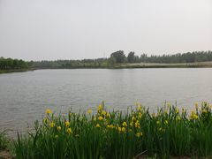 -东郊湿地公园