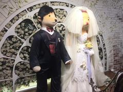 -济州岛泰迪熊博物馆