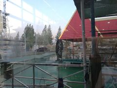 -东江湖游水三文鱼美食城