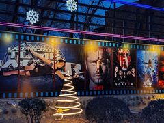 -枫花园汽车电影院(朝阳公园店)