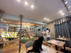 等位区-MOYOYO猫咪咖啡店