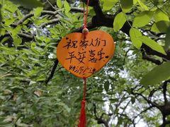 -信号山公园