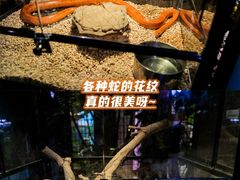 -正佳极地海洋世界