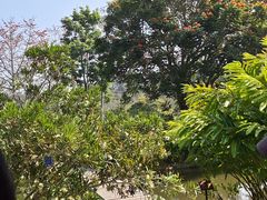 -中国科学院西双版纳热带植物园
