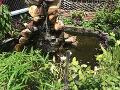 -水岸居湖景农家乐·阳澄湖大闸蟹