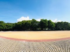 -广东惠东海龟国家级自然保护区