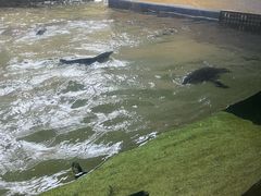 -悉尼海洋生物水族馆
