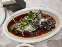 清蒸石斑鱼-红杏酒家(凤凰店)
