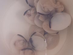 -宋记海南粉传承老店(人民西路店)