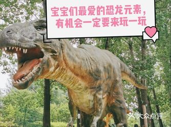 宝宝们最爱的恐龙元素，有机会一定要来玩一玩