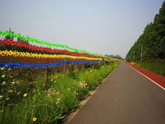 -上海长兴岛郊野公园