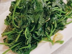 蒜蓉番薯叶-汇兴源餐馆(小北路店)