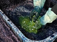 -璞真扎染博物馆