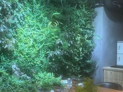 -森味薪火烧•烧鸟居酒屋•日本料理(望京店)